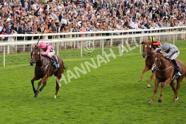 yr19082021r7-13 - Race 7 5.20pm British Stallion Studs EBF Fillies' Stakes