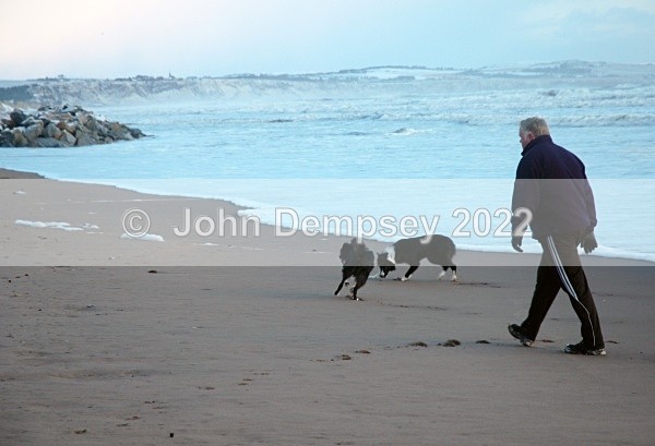 The Walk - Walking the Dog
