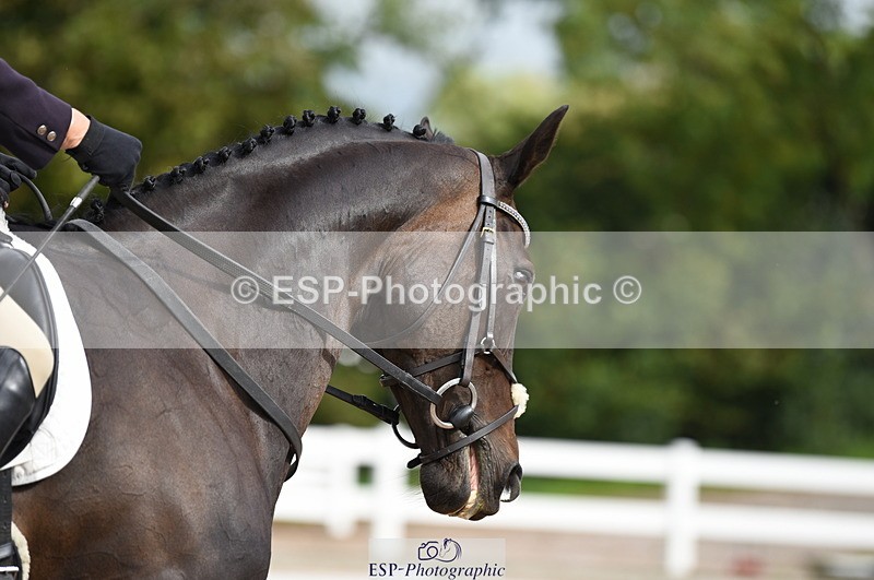 230912A-105100-00451 - Cls 5 Novice 39