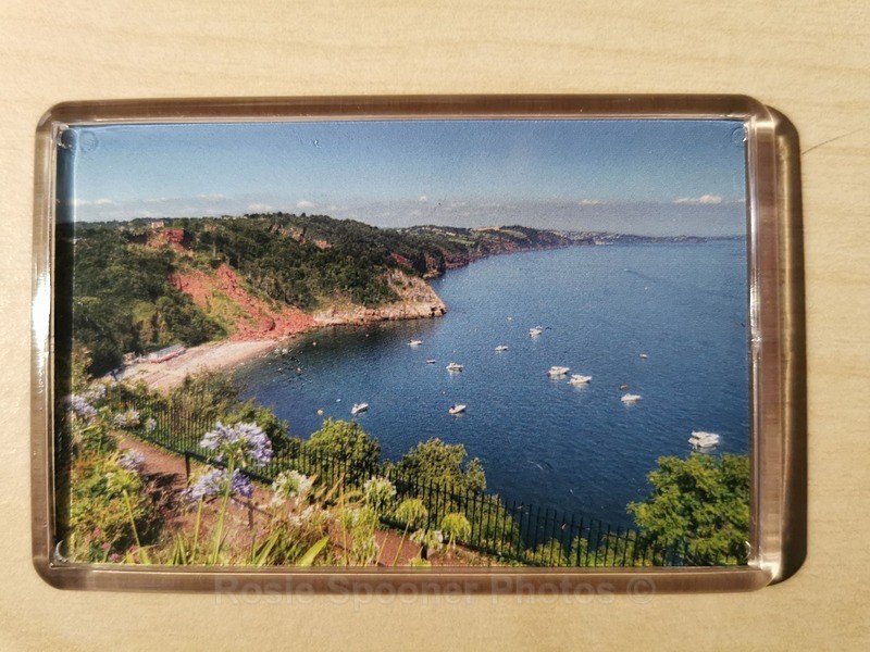 Oddicombe View from Babbacombe Downs - FRIDGE MAGNETS