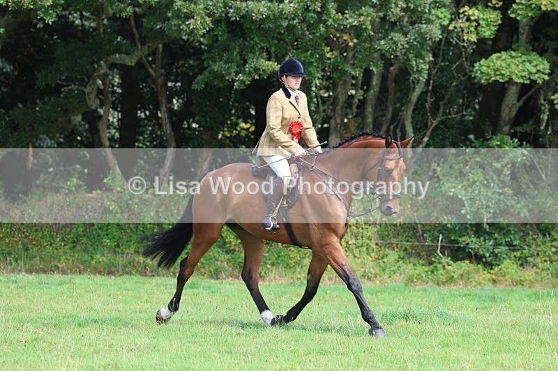 3E7A6053 - Working Hunter Championship