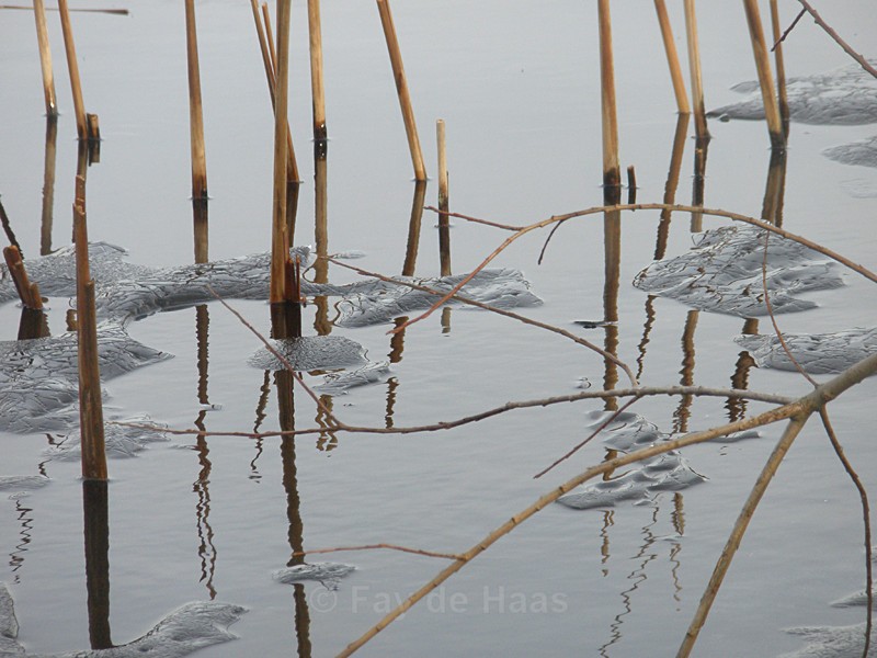  - Water gazing