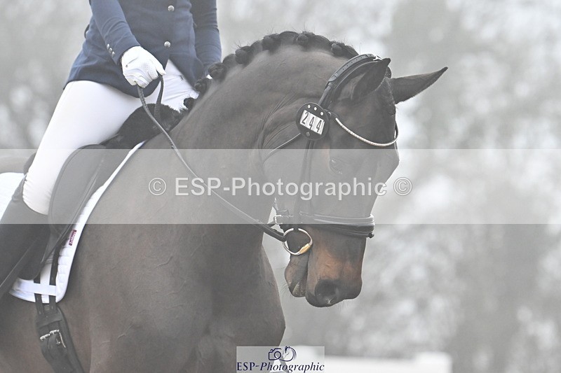 240217A-104028-01159 - 244-Tamara.Egglestone-OLINDE