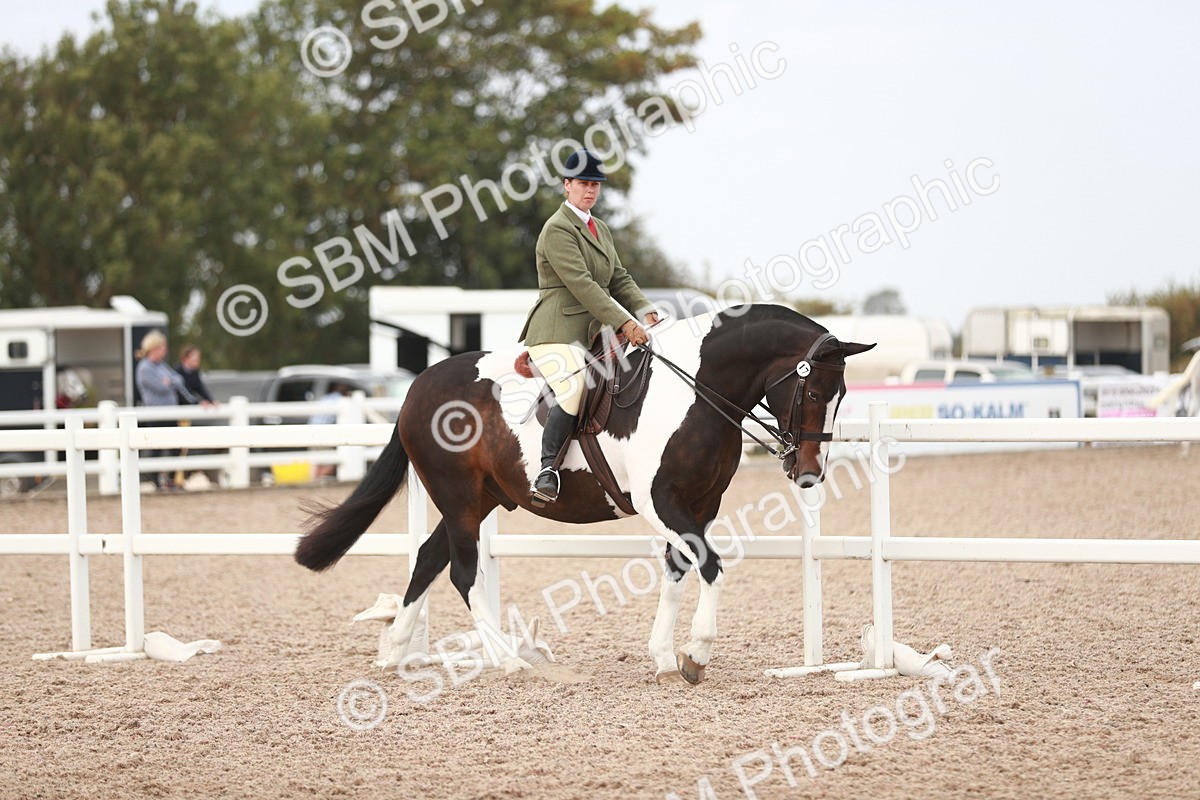 SBM_16582 - Class 214 Ridden Cob