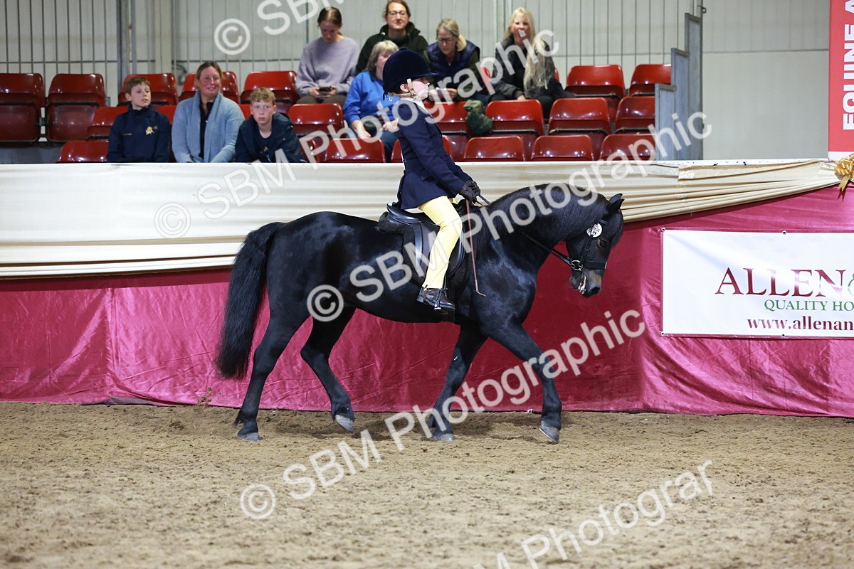 SBM_20551 - Class H - IH Competition - Riding Club champ
