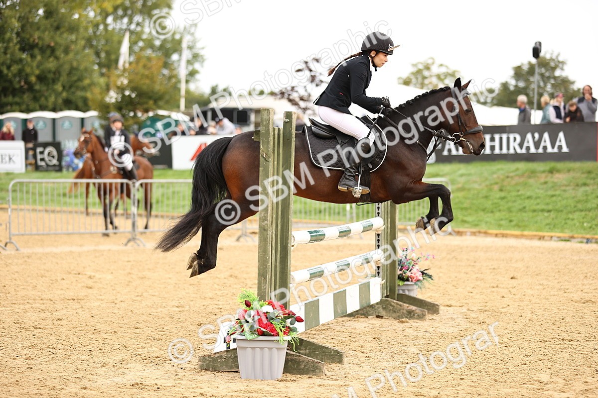 SBM_58300 - J41 - Grand Tour Horse & Pony 95cm