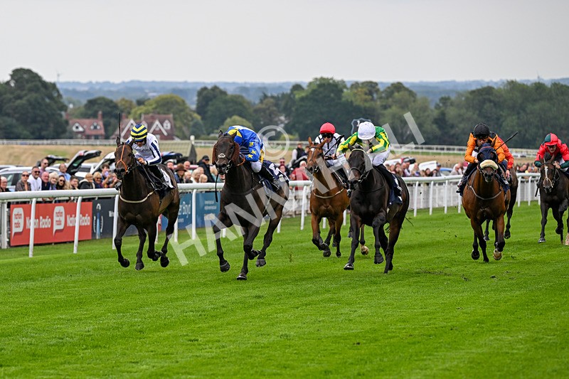 290826-Race 1-Trilby-5236 - Race 1 1.45pm Blink And You Miss It Sprint Handicap