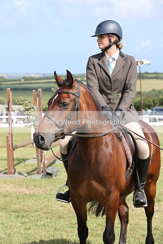 JPP_2442 - Class 19: Working Hunter 60cm