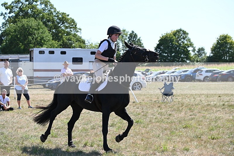WJ6_8920 - Class 38 Ridden Riding Horse/Pony