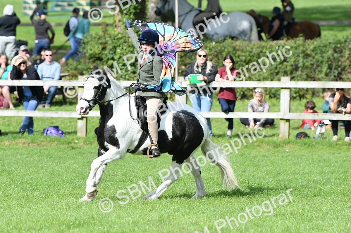 SBM_46992 - S12 - Family Horse & Pony