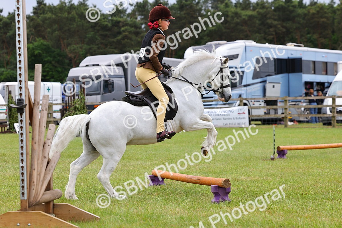 SBM_08724 - Class 42-43 - LIHS BSPS Heritage Working Sports Pony