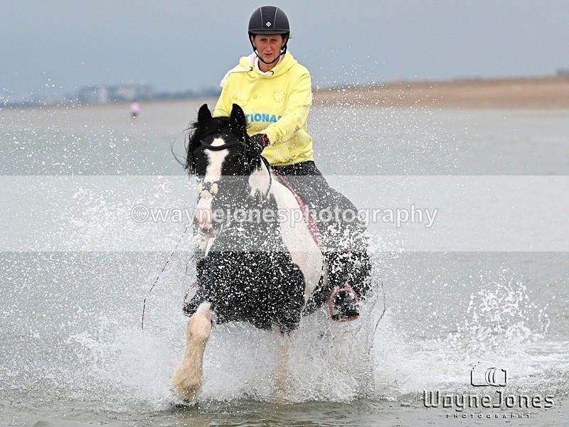 WJ7_8931 - Hayling Island Beach Shoot 22-09-24