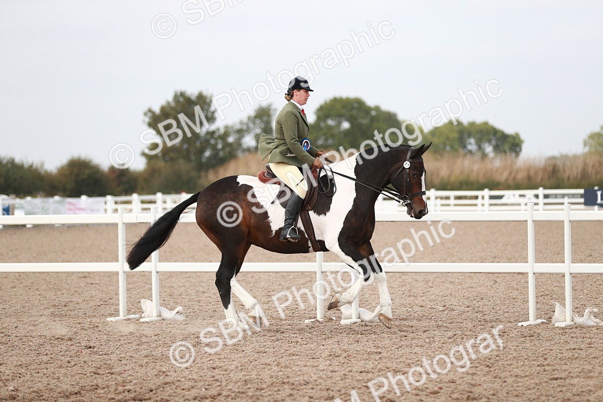 SBM_16841 - Class 214 Ridden Cob