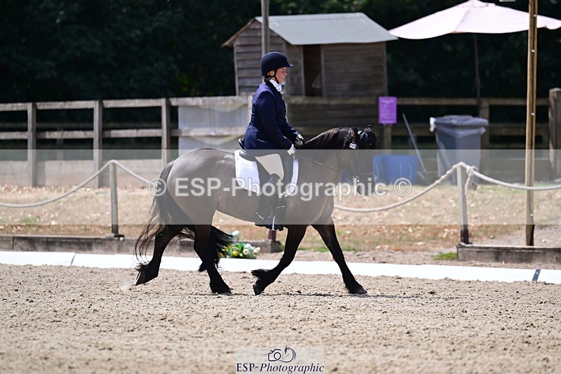 260802A-125811-06687 - Novice Bronze break - end