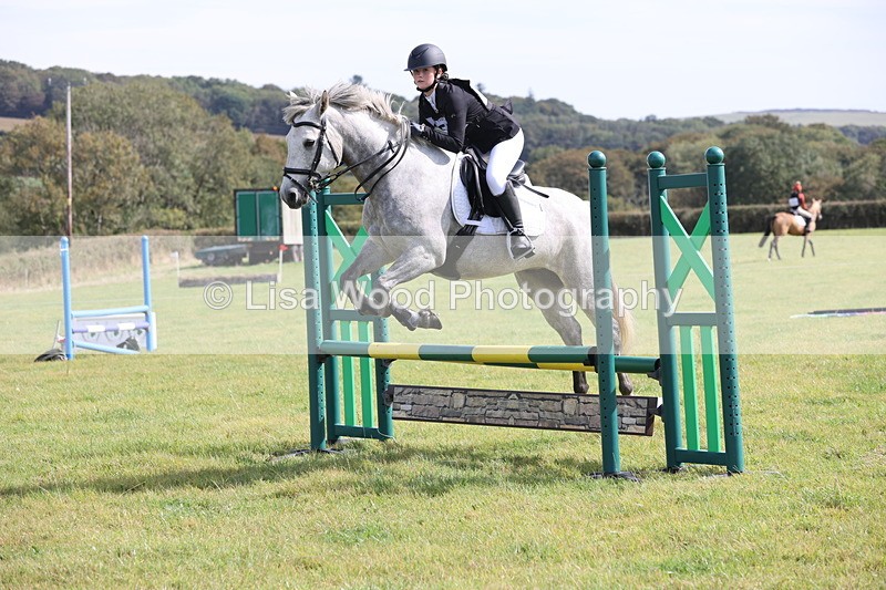 JPP_8638 - Class 2: Trekenning: 80cm Showjumping