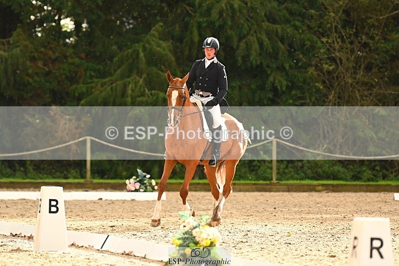 231021-153501-21158 - 362-GLOBAL.AMARETTO-Charlotte.Agnew-DR