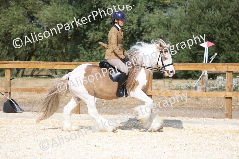 20260802-0429 - Class 6 - Veteran Ridden
