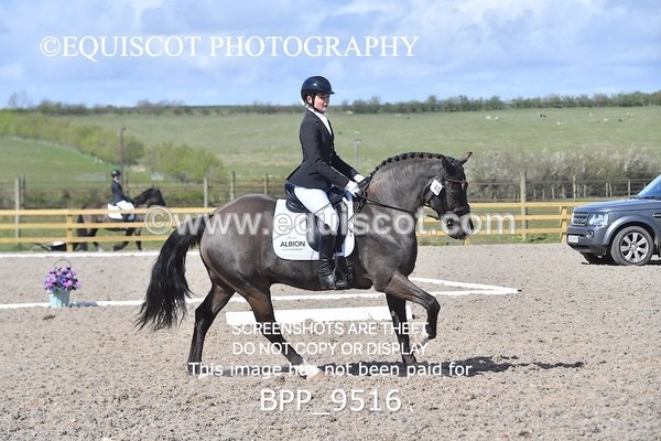 BPP_9516 - NOVICE 6
