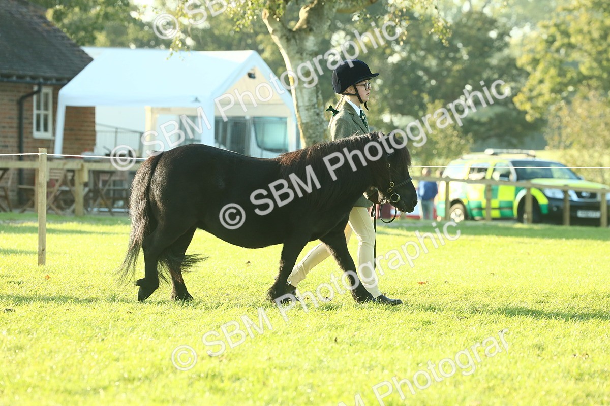 SBM_57304 - S37 - Starters In Hand Showing
