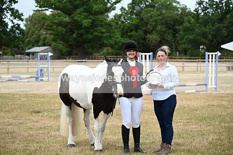 WJ6_4431 - Class 10 Coloured In-hand