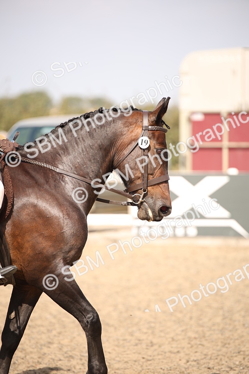 SBM_15052 - Class 408a - Working Veteran 70cm (15-19