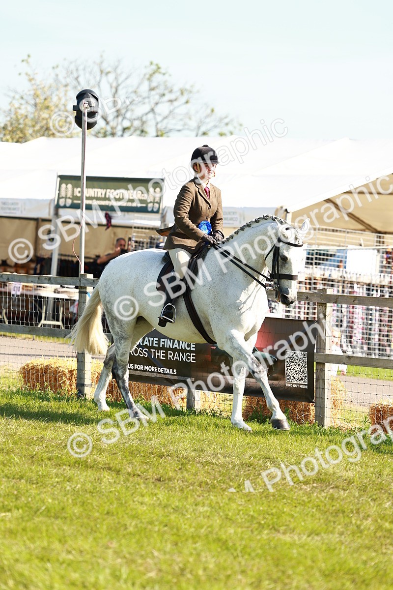SBM_10971 - Class 66-69 - RIHS Ridden Hunters Inc Small Hunter
