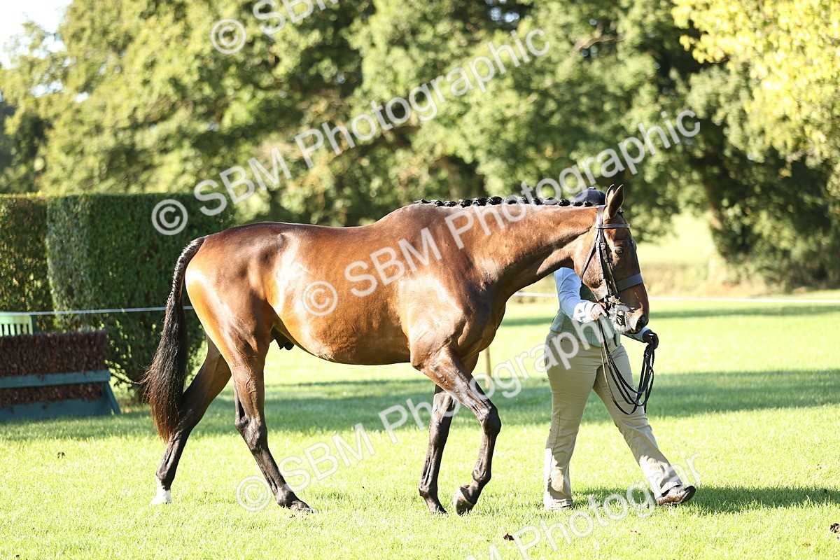 SBM_15770 - S1 - TSR in Hand Horse & Pony Showing