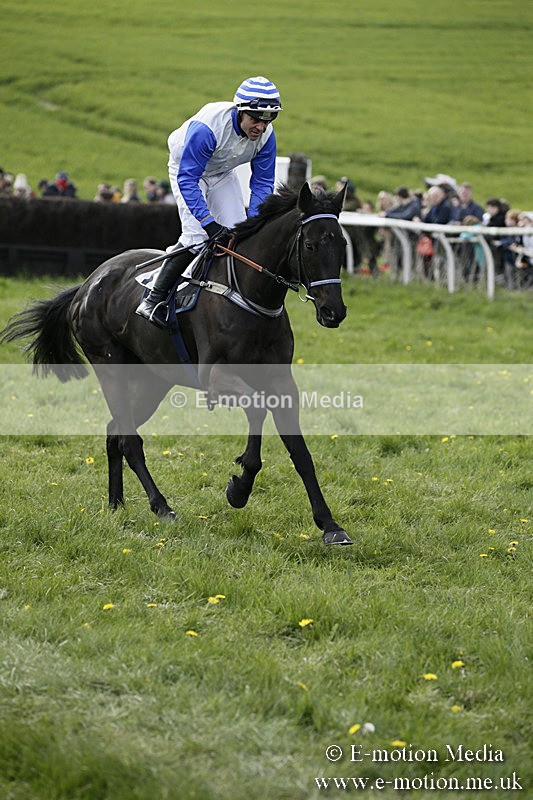 PtP 170417 405 - Old Berks Point-to-Point Lockinge 17/04/17