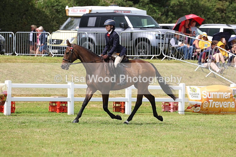 3E7A2359 - Class 11: Retraining of Racehorse