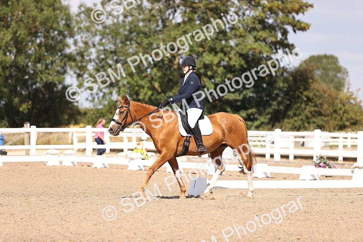 SBM_03555 - CLass 35 Intro 3