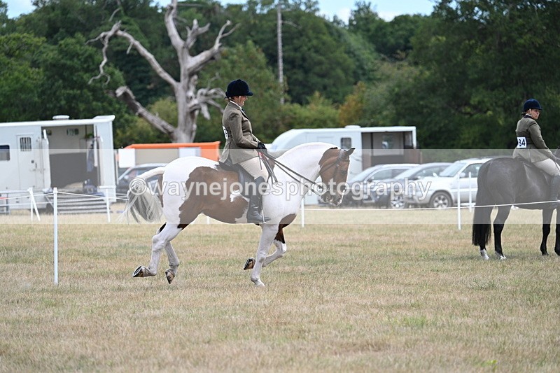 WJ7_5610 - Class 12 Ridden Cob