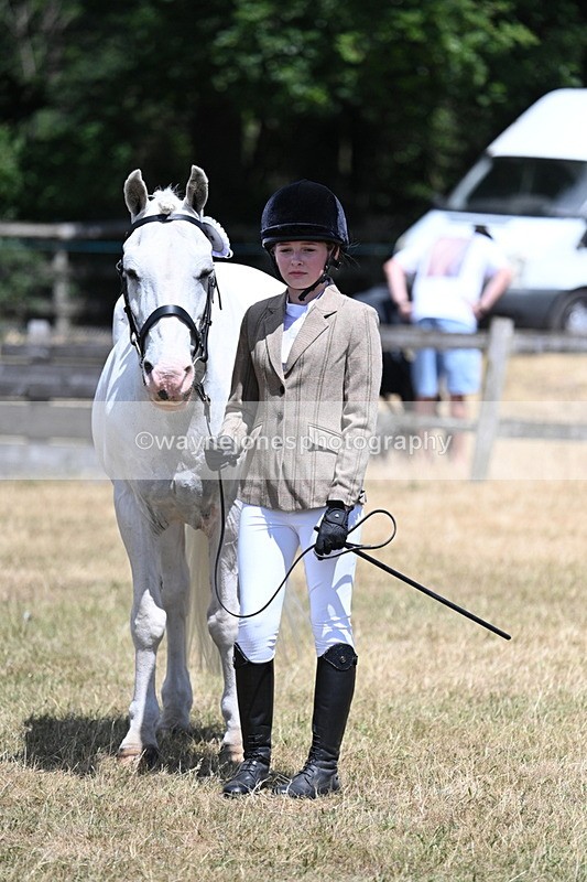 WJ7_2275 - Class 5 Most Handsome Gelding (up to 14.2hh) in hand