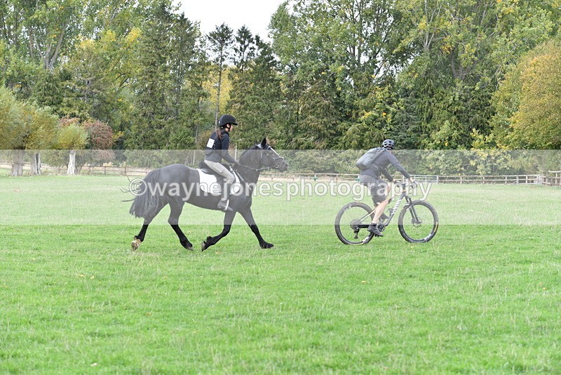 WJ5_0277 - Time 13:25 to 13:58