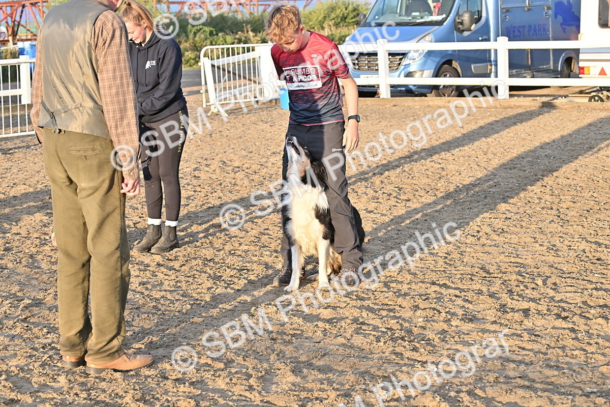 SBM_09649 - Lorry Dogs