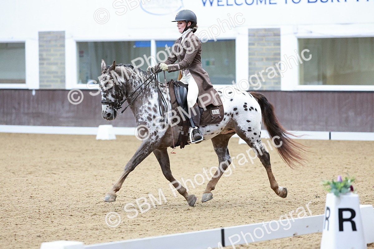 SBM_016601 - Class 5 - FEI INT II - 17.24-18.20