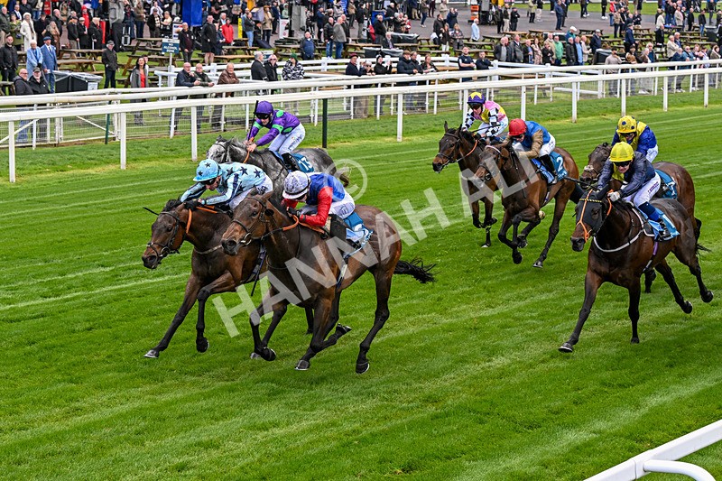 140526-Race 3-Maybe Not-0157 - Race 3 2.55pm Oakmere Homes Hambleton Handicap