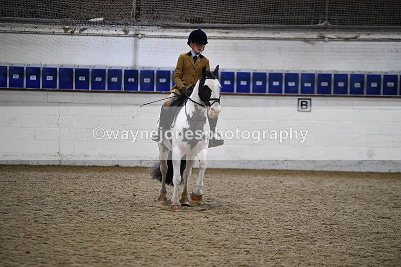 WJ5_7314 - Class 11 Ridden PC - RC Pony
