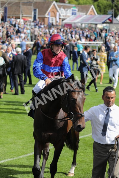 yr19082022r4-26 - Race 4 3.35pm Coolmore Wootton Bassett Nunthorpe Stakes (British Champion Series Race)