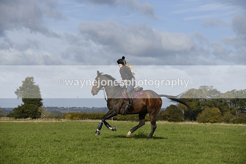 _DSC5767 - Time 10:49 to 11:23