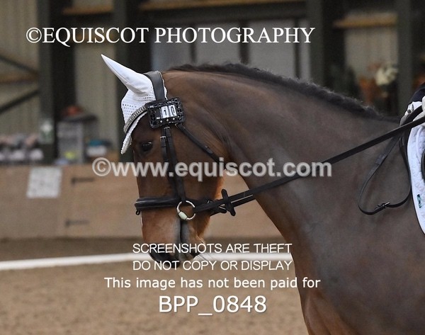 BPP_0848 - 10 - K MURDOCH