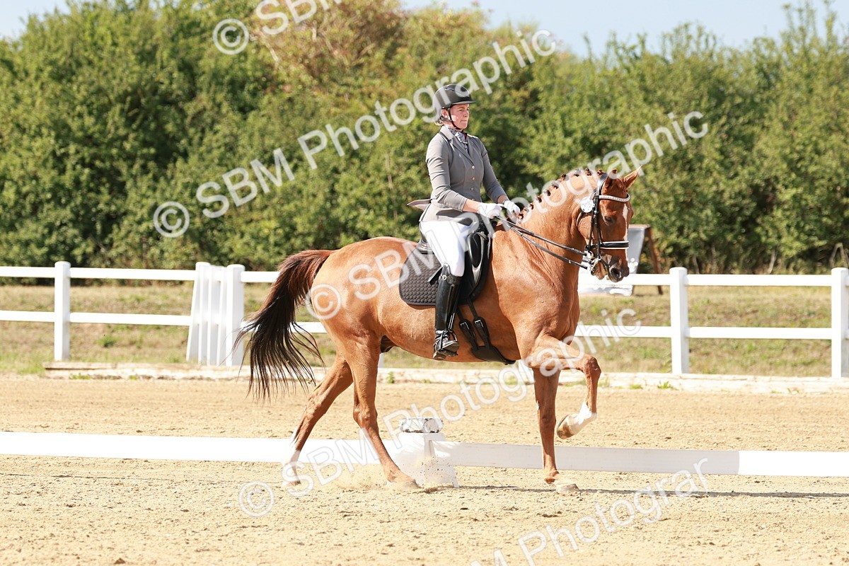 SBM_002559 - Class 11 - Medium 6