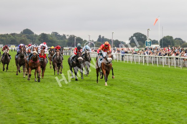 080924-Race 6-Northern Spirit-4556 - Race 6 4.35pm Hanson Springs Handicap