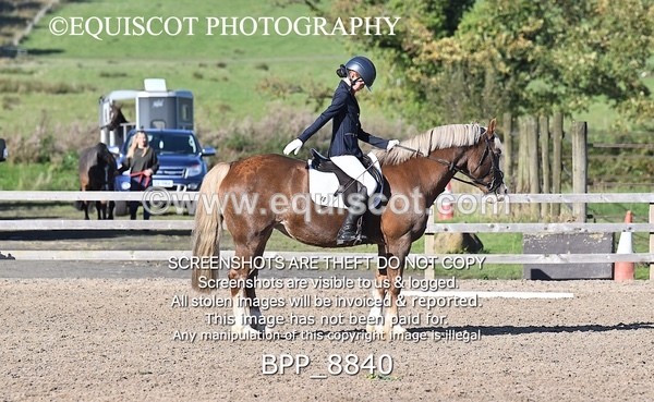 BPP_8840 - SHORT ARENA INTRO 2