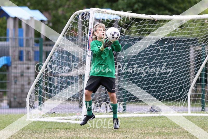 1DX30919 - Brook Field V Goddard Park