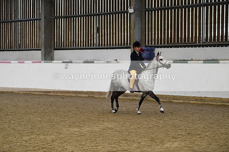 WJ5_7732 - Class 13 Ridden Part Breed