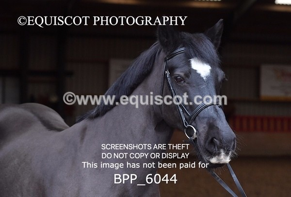 BPP_6044 - Erin Hancock ×2