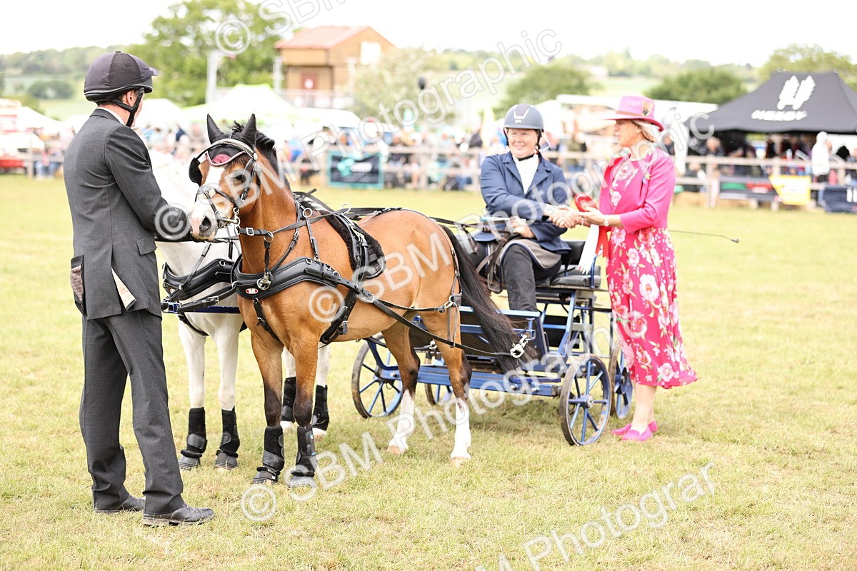 SBM_16113 - Class 91 - Scurry  exceeding 122cms