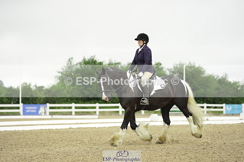 230708A-100104-00265 - Intro C