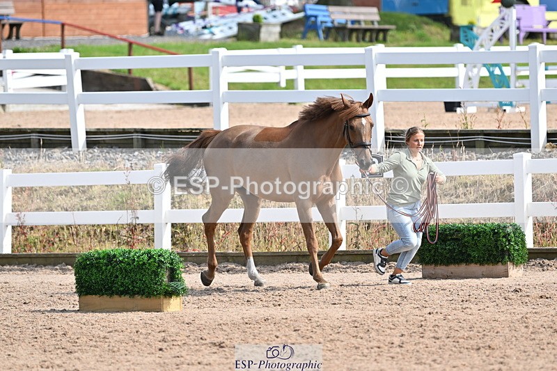 240717A-160644-03309 - Trot Up 4pm to 5pm