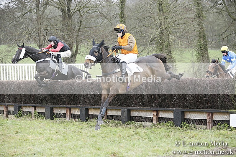 PtP 020418 -392 - Old Berks Point-to-Point Races Easter Monday 02/04/18